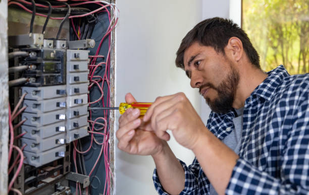Best Affordable Electrician  in Auburn, MI